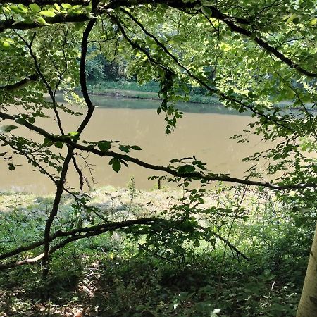 Deux Etangs Poissonneux Au Milieu Des Bois Avec Gite Moderne, La Halte Des Deux Lacs Rosée Dış mekan fotoğraf