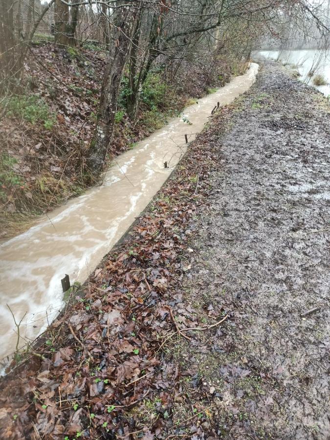 Deux Etangs Poissonneux Au Milieu Des Bois Avec Gite Moderne, La Halte Des Deux Lacs Rosée Dış mekan fotoğraf