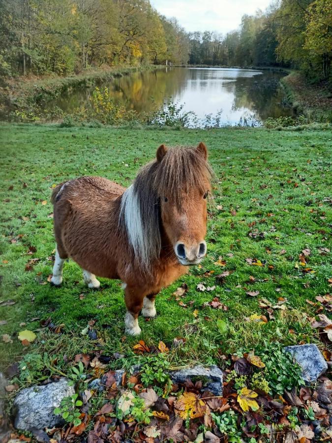 Deux Etangs Poissonneux Au Milieu Des Bois Avec Gite Moderne, La Halte Des Deux Lacs Rosée Dış mekan fotoğraf