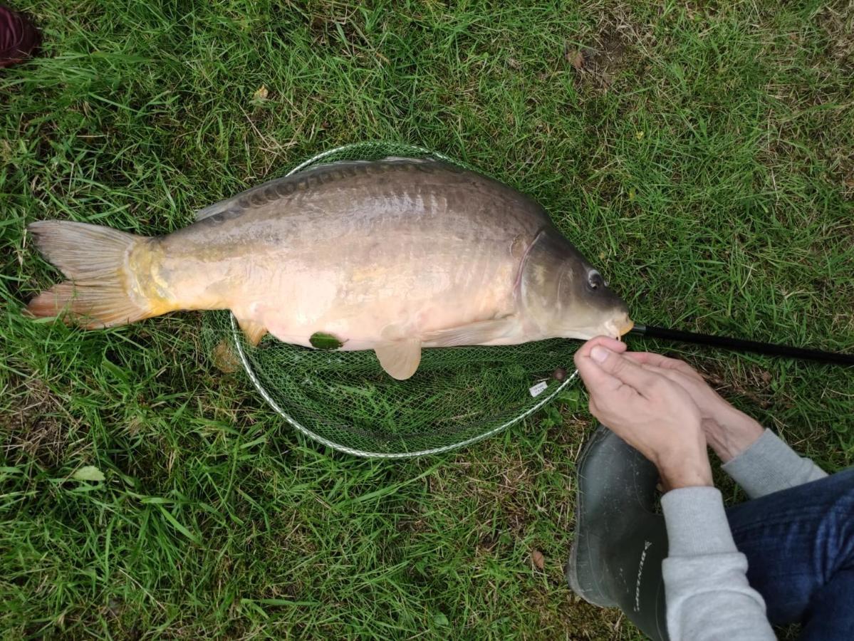 Deux Etangs Poissonneux Au Milieu Des Bois Avec Gite Moderne, La Halte Des Deux Lacs Rosée Dış mekan fotoğraf