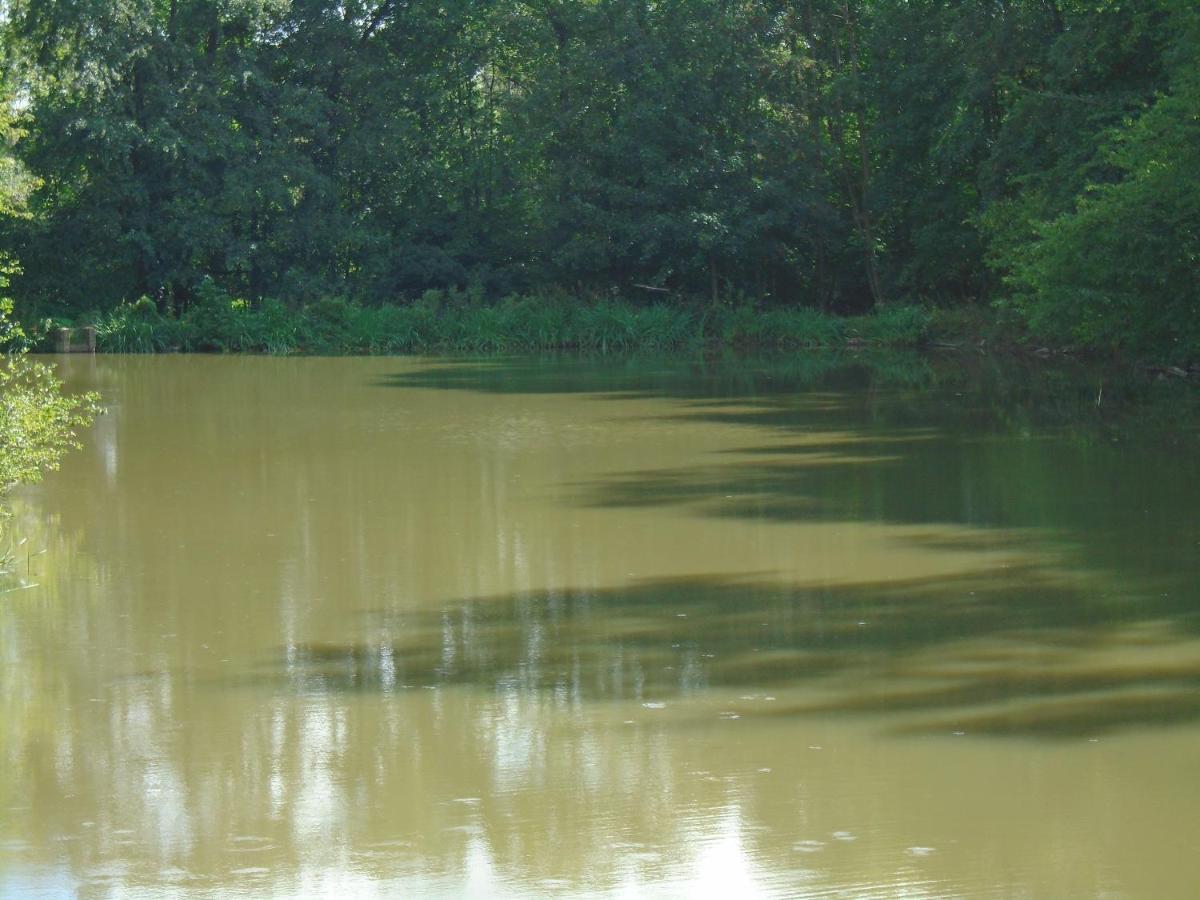 Deux Etangs Poissonneux Au Milieu Des Bois Avec Gite Moderne, La Halte Des Deux Lacs Rosée Dış mekan fotoğraf