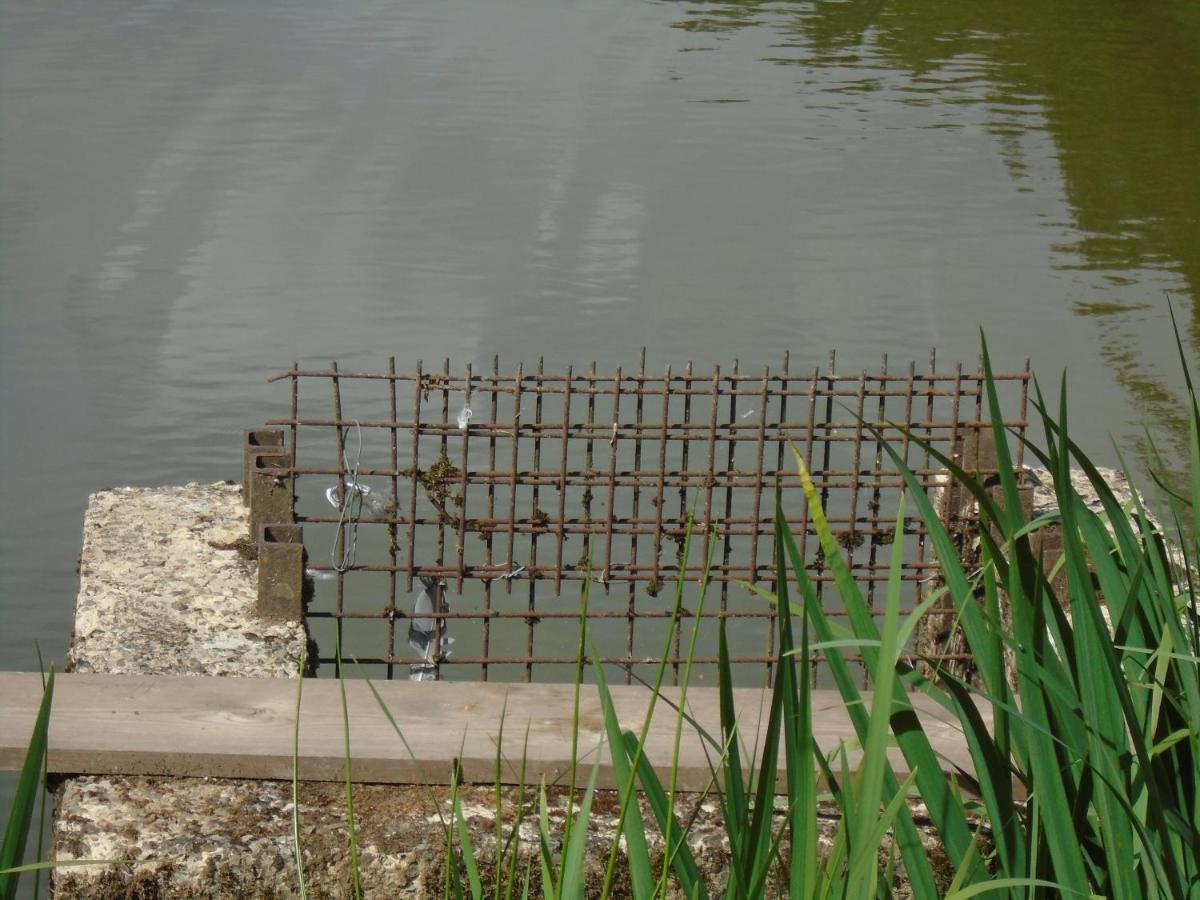 Deux Etangs Poissonneux Au Milieu Des Bois Avec Gite Moderne, La Halte Des Deux Lacs Rosée Dış mekan fotoğraf