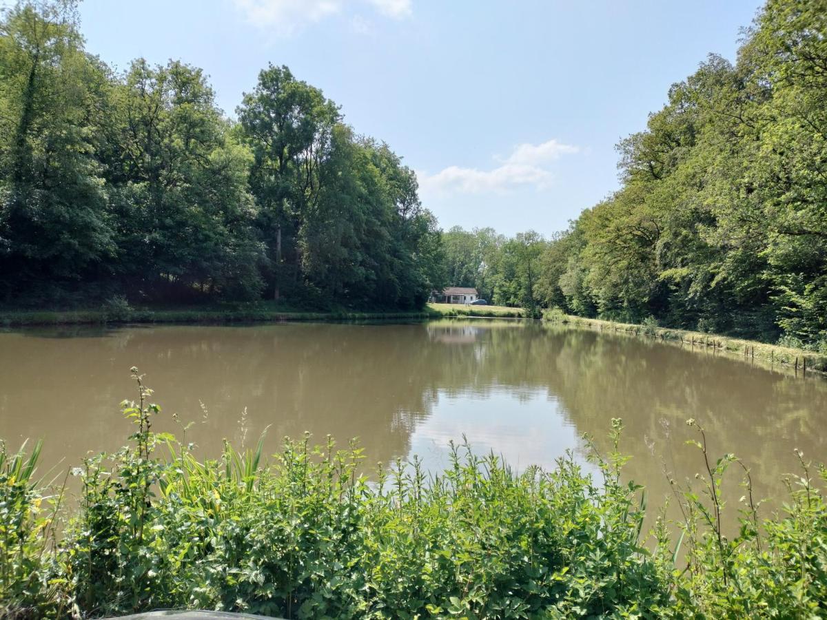 Deux Etangs Poissonneux Au Milieu Des Bois Avec Gite Moderne, La Halte Des Deux Lacs Rosée Dış mekan fotoğraf