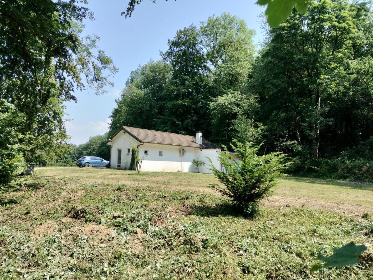 Deux Etangs Poissonneux Au Milieu Des Bois Avec Gite Moderne, La Halte Des Deux Lacs Rosée Dış mekan fotoğraf